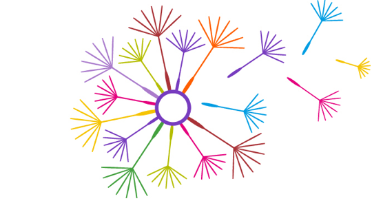 Perth & Kinross Violence Against Women Partnership Logo